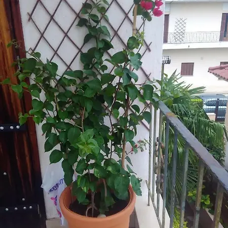 Apartamento Sole Mio Milína