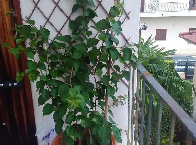 Apartmán Sole Mio Milína